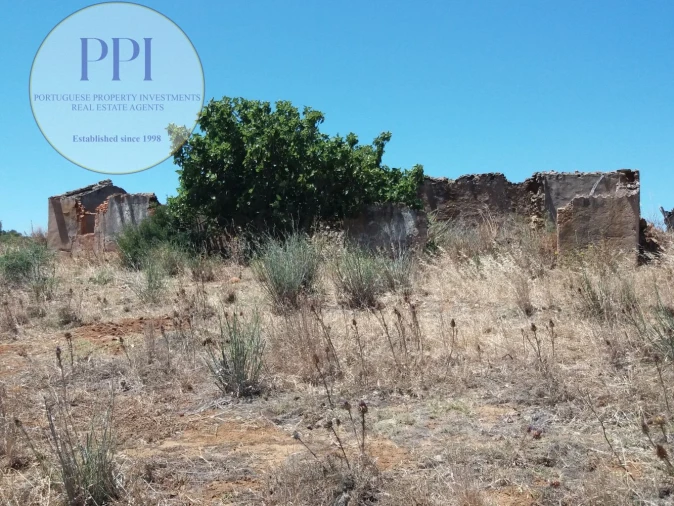 Quinta T0 para Venda em Luz Foto 14