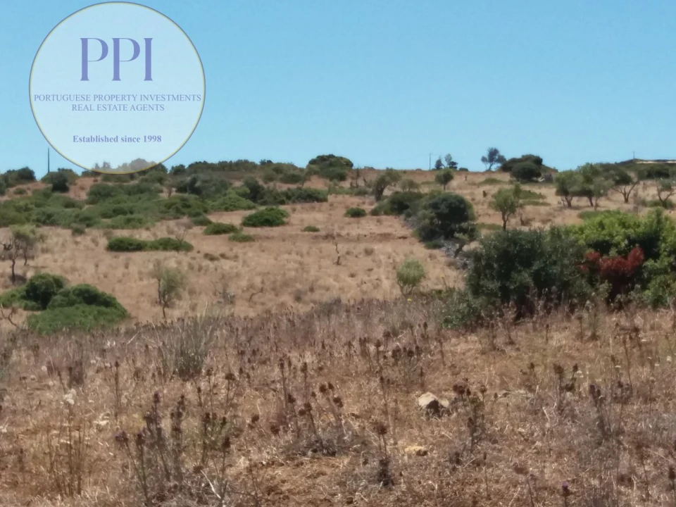 Quinta T0 para Venda em Luz Foto 9