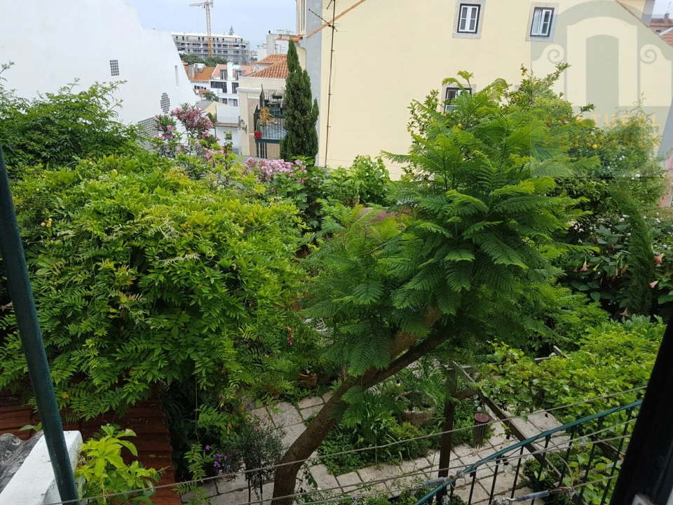 Apartamento T1 para Venda em São Vicente Foto 24