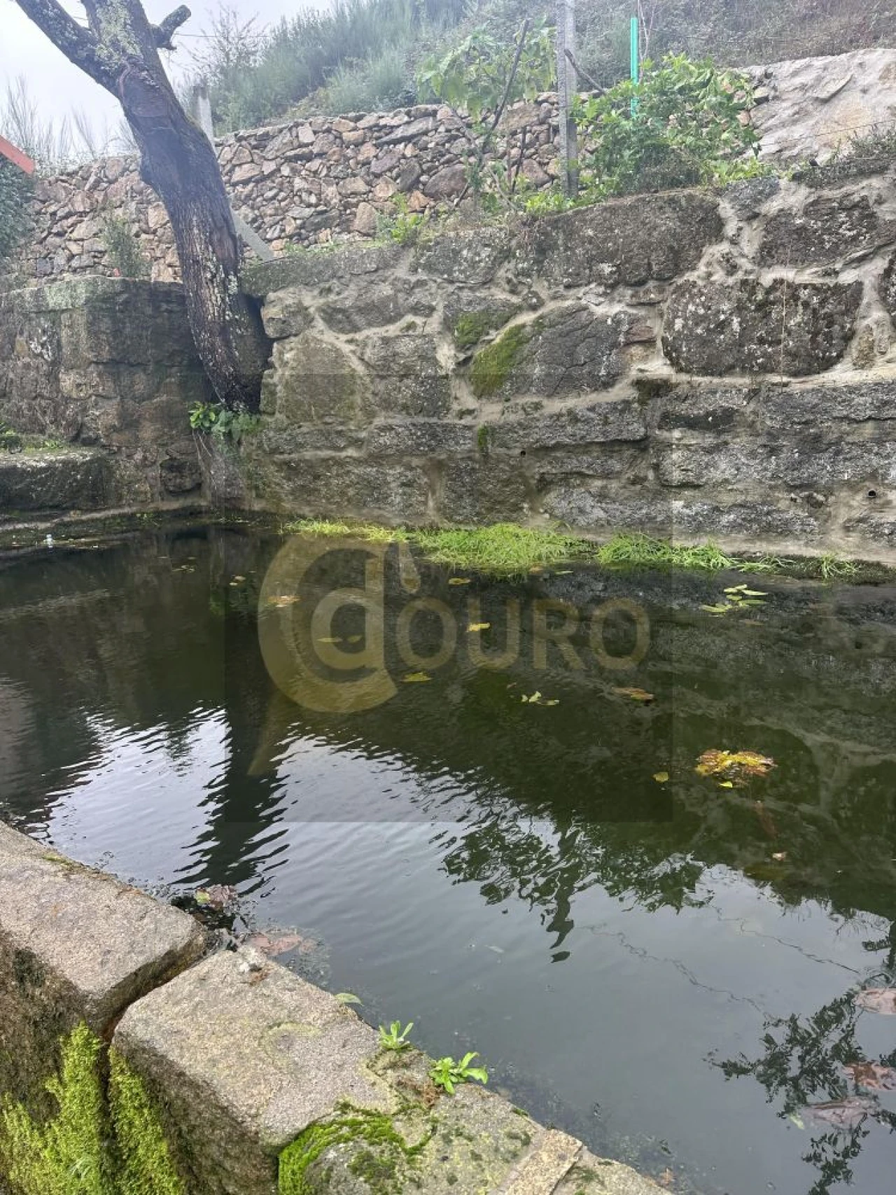 Quinta T0 para Venda em Cinfães Foto 17