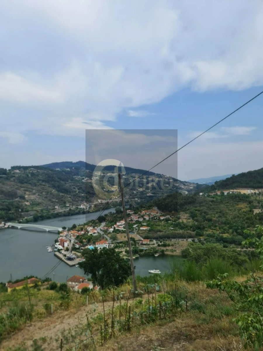 Quinta T0 para Venda em Cinfães Foto 5