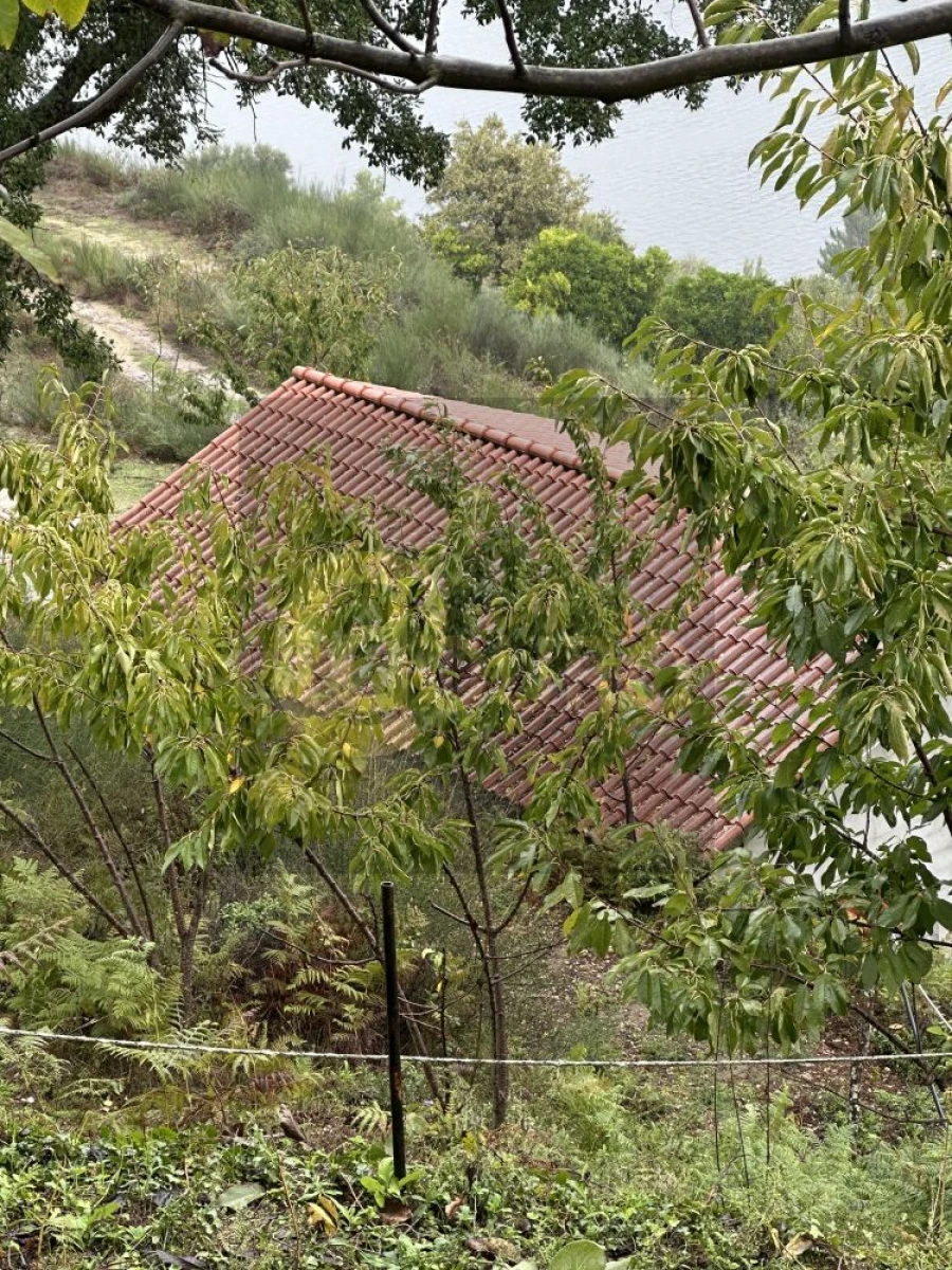 Quinta T0 para Venda em Cinfães Foto 19