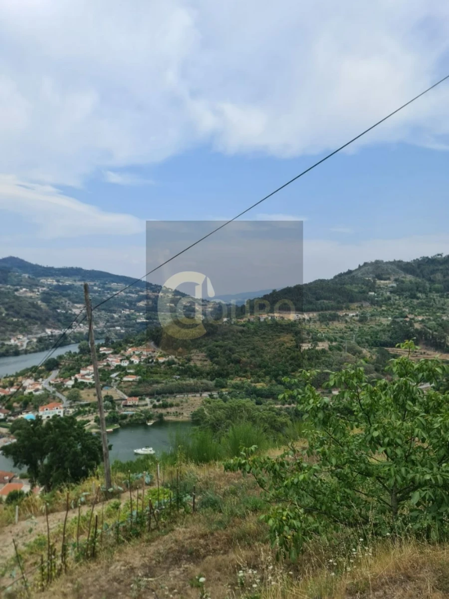 Quinta T0 para Venda em Cinfães Foto 4