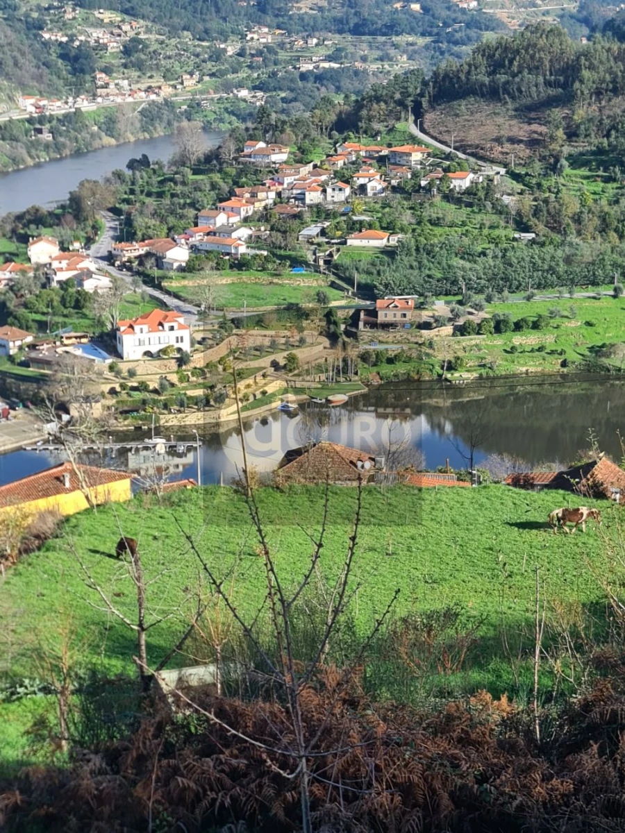 Quinta T0 para Venda em Cinfães Foto 9