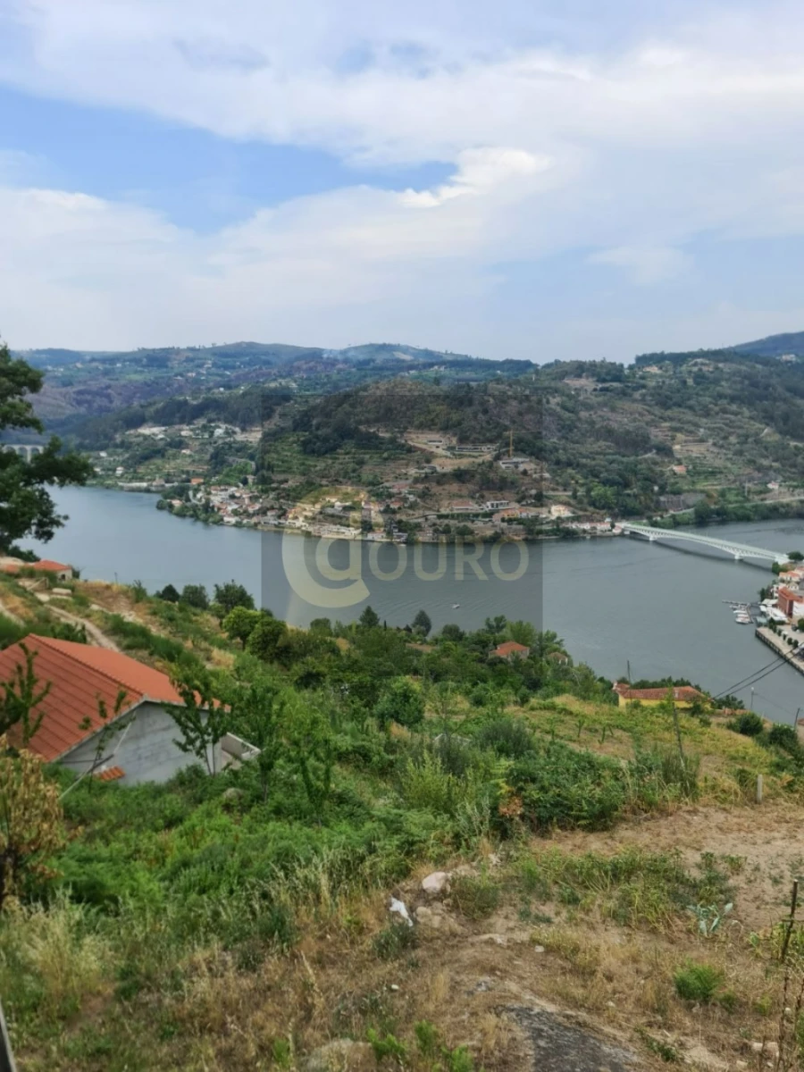 Quinta T0 para Venda em Cinfães Foto 6