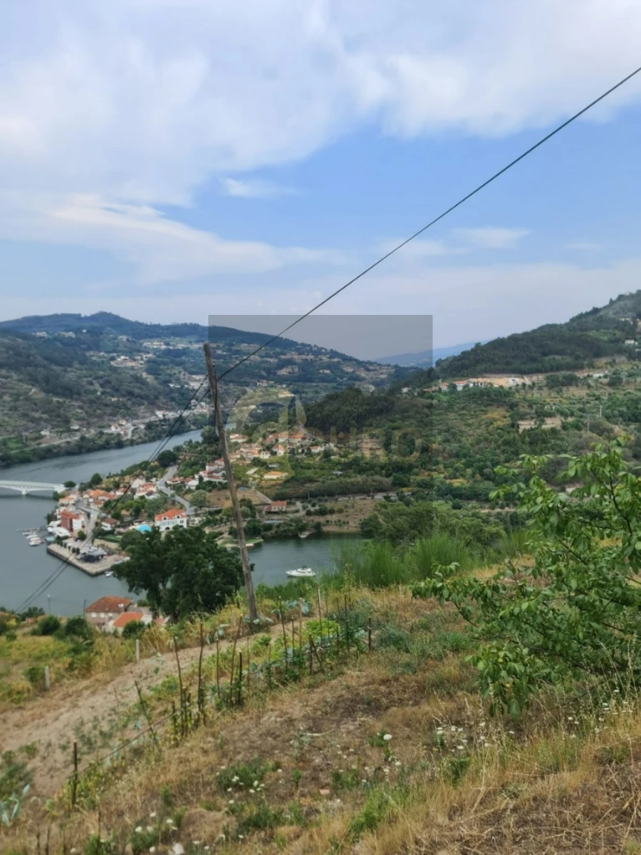 Quinta T0 para Venda em Cinfães Foto 2