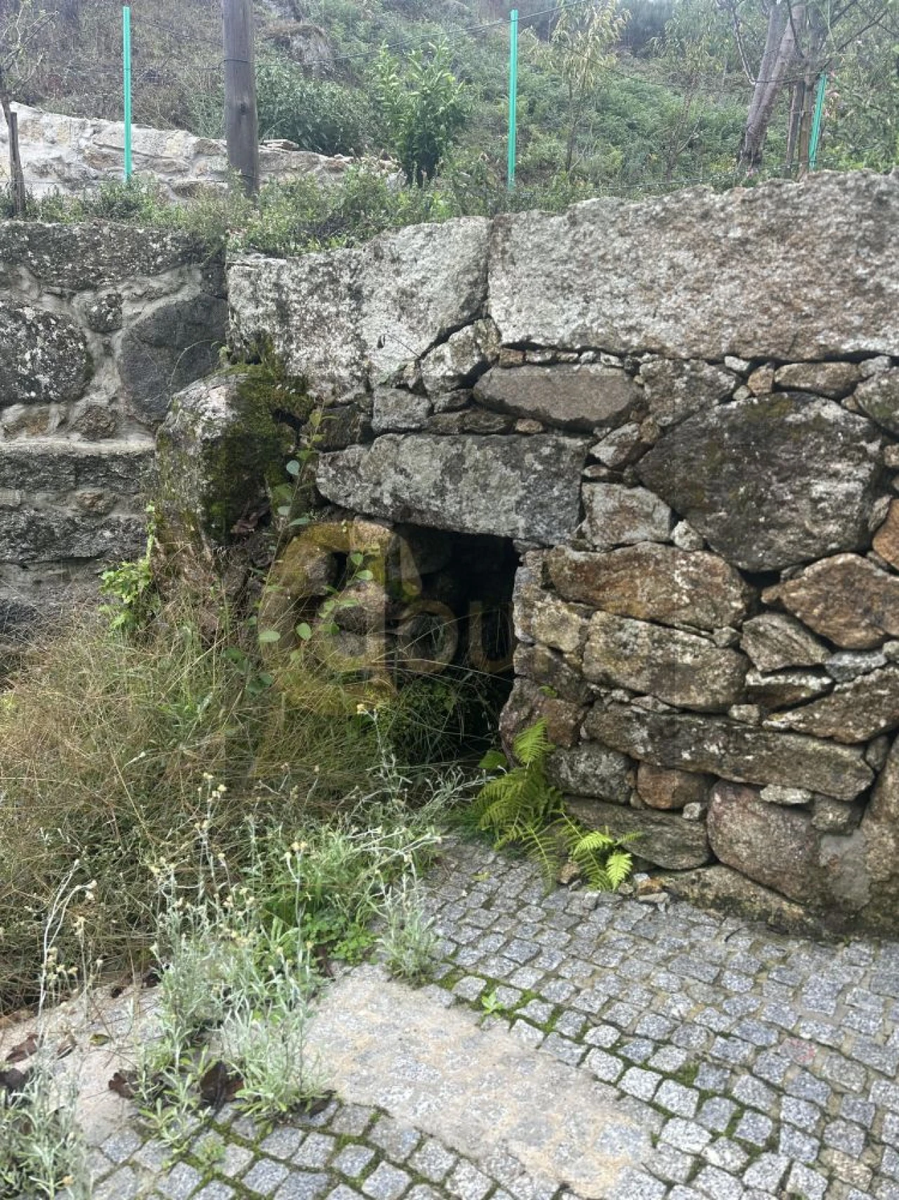 Quinta T0 para Venda em Cinfães Foto 18