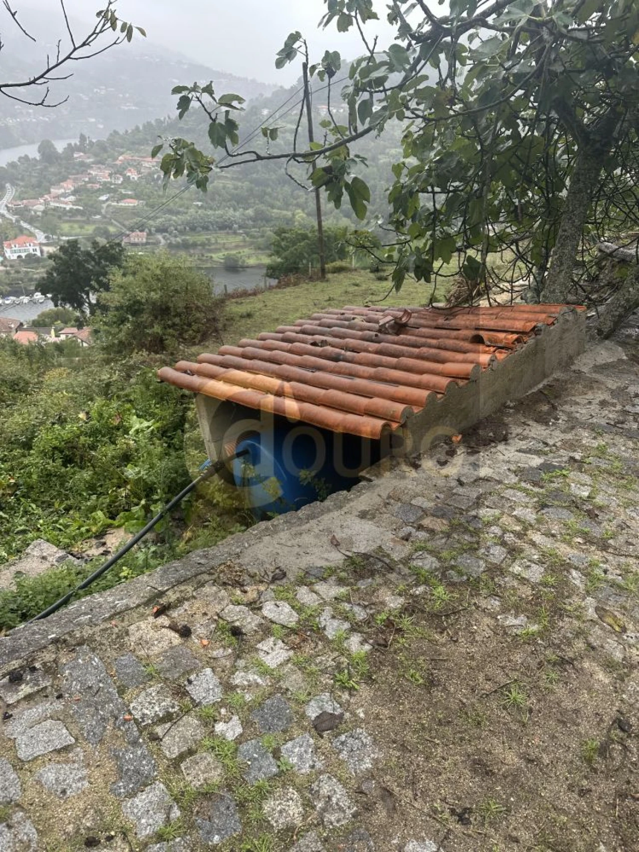 Quinta T0 para Venda em Cinfães Foto 13