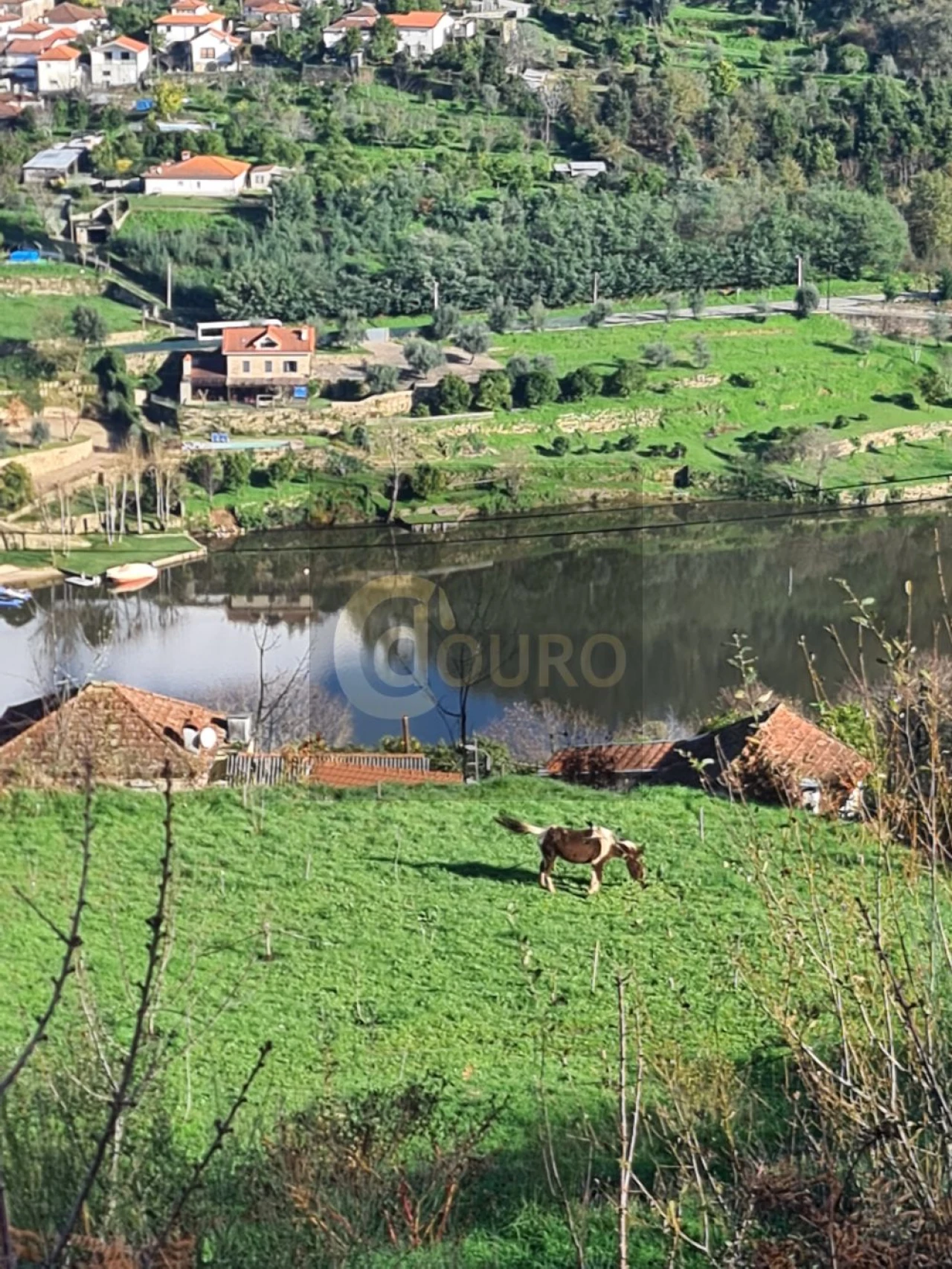 Quinta T0 para Venda em Cinfães Foto 10