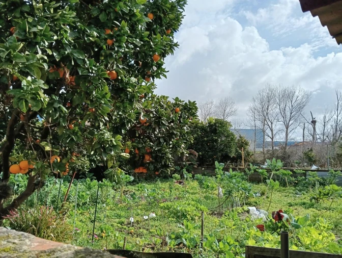 Terreno para Venda em Cacia Foto 2
