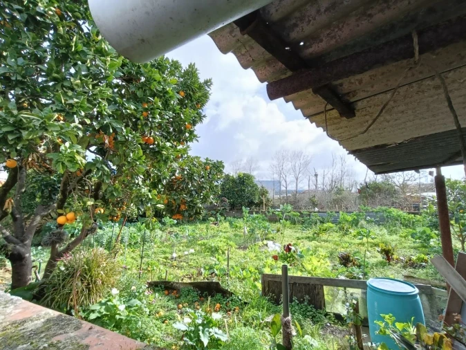 Terreno para Venda em Cacia Foto 3