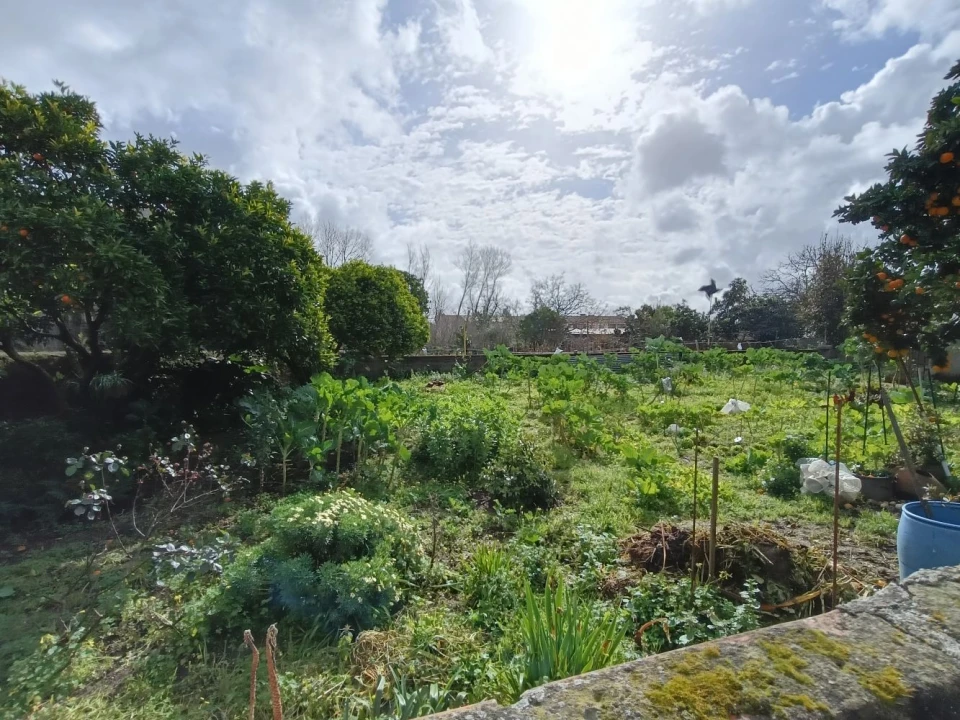 Terreno para Venda em Cacia Foto 7