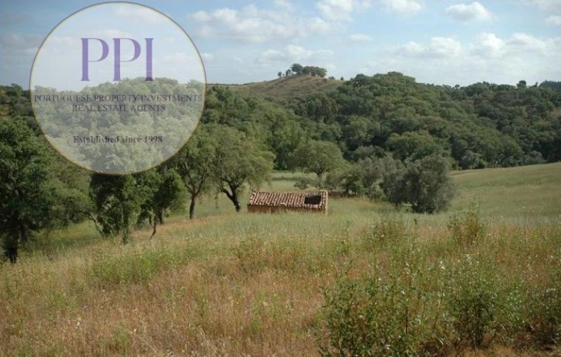 Terreno para Venda em Luzianes-Gare Foto 3