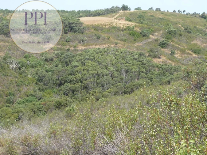 Quinta T0 para Venda em Budens Foto 7