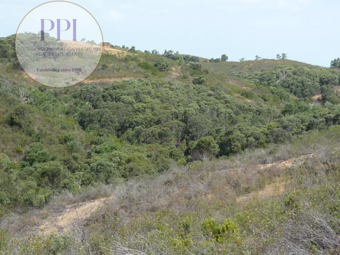 Quinta T0 para Venda em Budens Foto 16