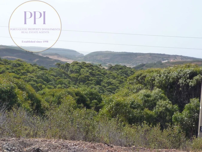 Quinta T0 para Venda em Budens