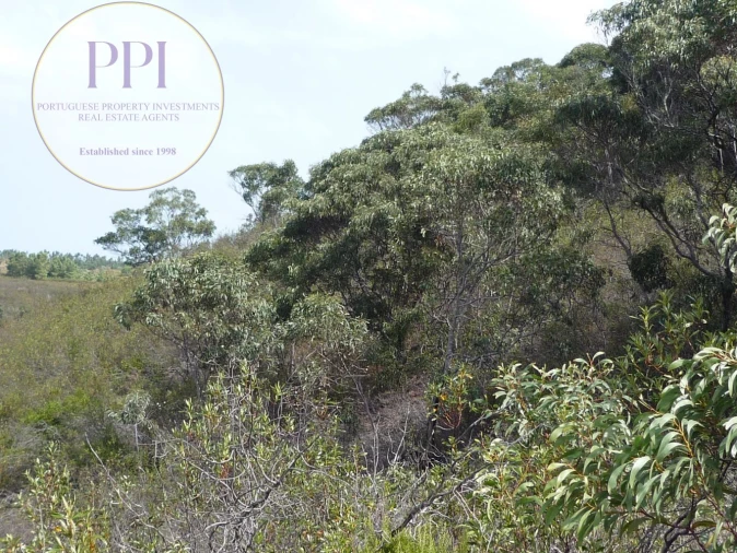 Quinta T0 para Venda em Budens Foto 4