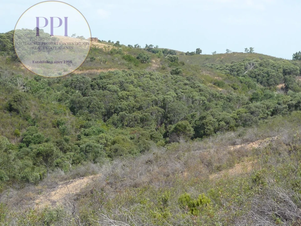 Quinta T0 para Venda em Budens Foto 16