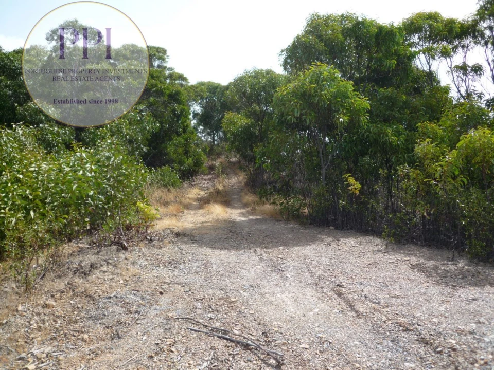 Quinta T0 para Venda em Budens Foto 12