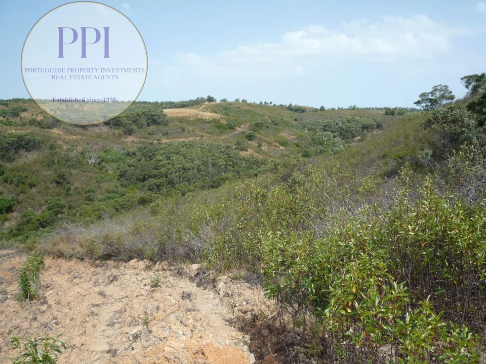 Quinta T0 para Venda em Budens Foto 6