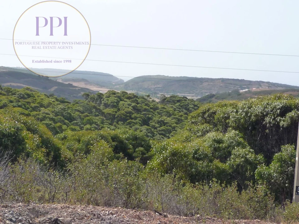 Quinta T0 para Venda em Budens Foto 1