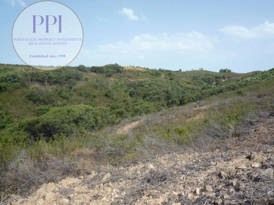 Quinta T0 para Venda em Budens Foto 13