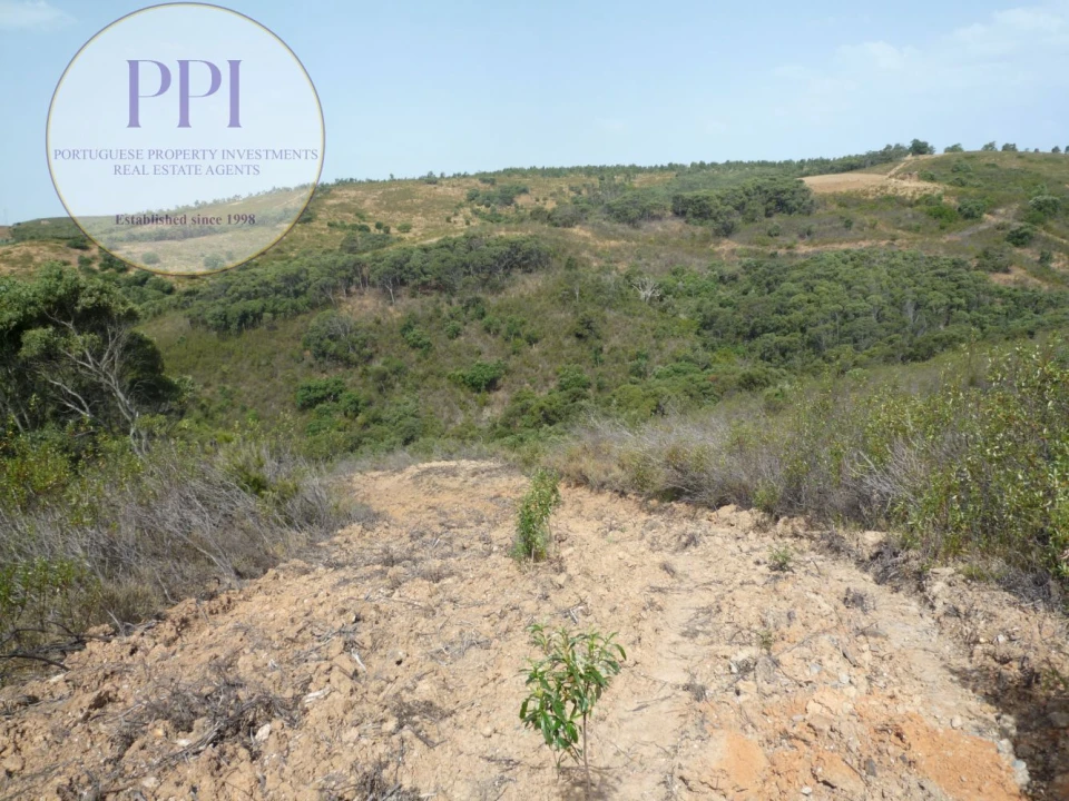 Quinta T0 para Venda em Budens Foto 11