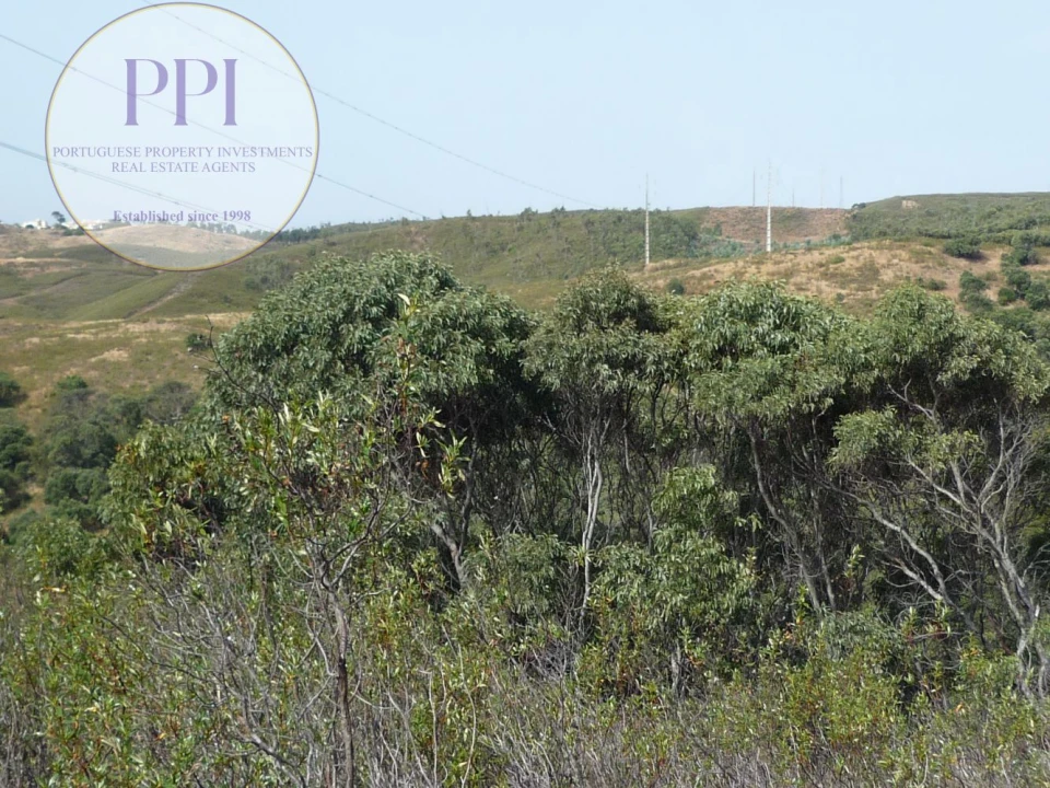 Quinta T0 para Venda em Budens Foto 3