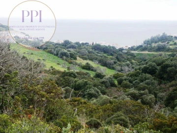 Terreno para Venda em Budens