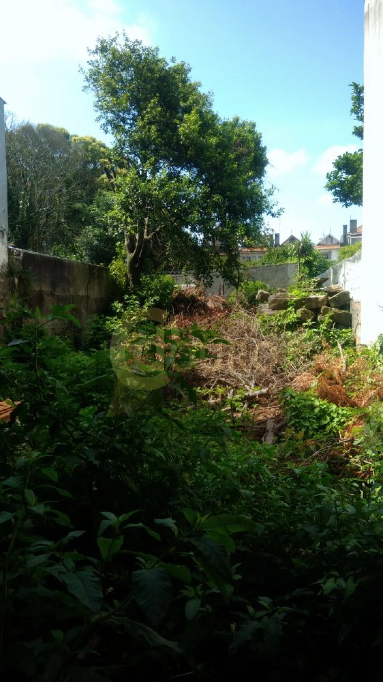 Loja para Venda em Cedofeita, Santo Ildefonso, Sé, Miragaia, São Nicolau e Vitória Foto 2