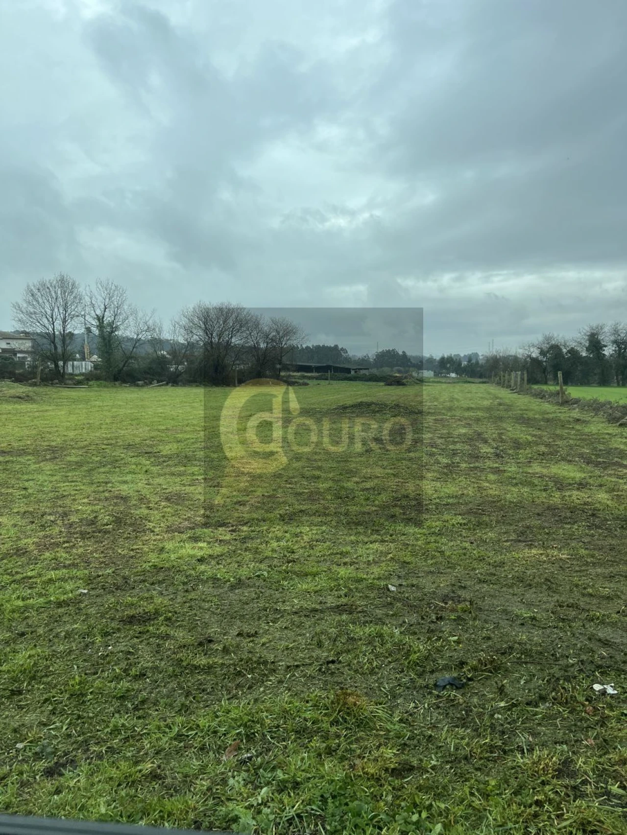 Terreno para Venda em Nogueira e Silva Escura Foto 3