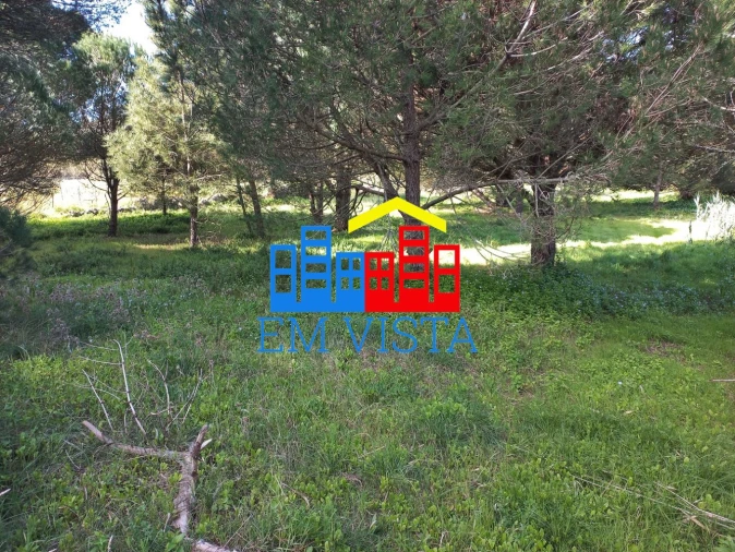 Terreno para Venda em Santa Maria e São Miguel, São Martinho, São Pedro Penaferrim Foto 9