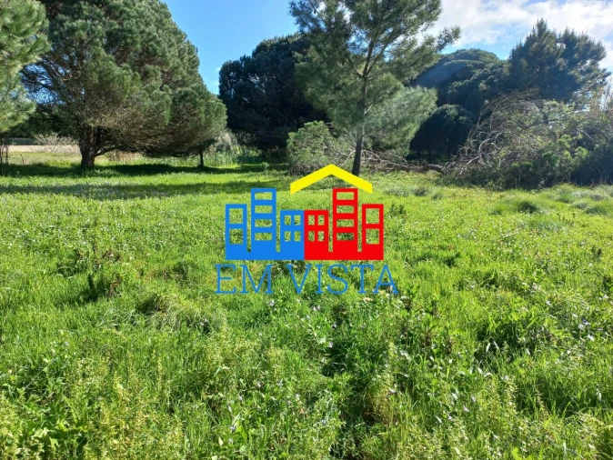 Terreno para Venda em Santa Maria e São Miguel, São Martinho, São Pedro Penaferrim Foto 15