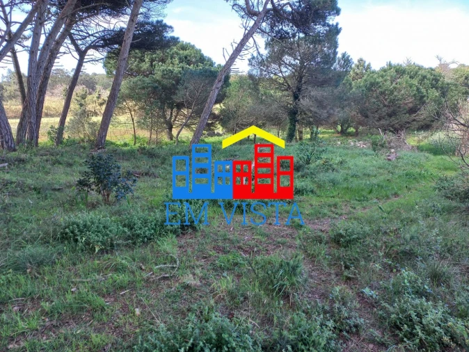 Terreno para Venda em Santa Maria e São Miguel, São Martinho, São Pedro Penaferrim Foto 8