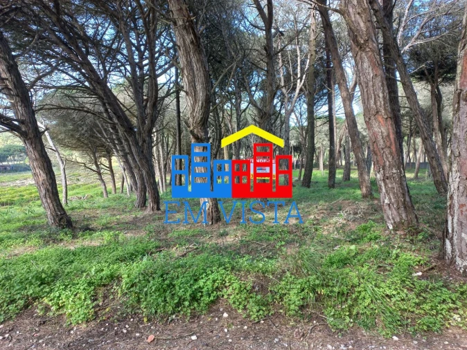 Terreno para Venda em Santa Maria e São Miguel, São Martinho, São Pedro Penaferrim Foto 1