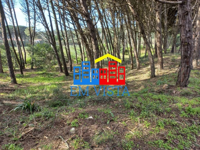 Terreno para Venda em Santa Maria e São Miguel, São Martinho, São Pedro Penaferrim Foto 7