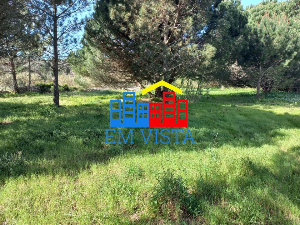 Terreno para Venda em Santa Maria e São Miguel, São Martinho, São Pedro Penaferrim Foto 12