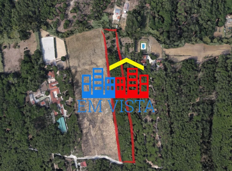 Terreno para Venda em Santa Maria e São Miguel, São Martinho, São Pedro Penaferrim Foto 16