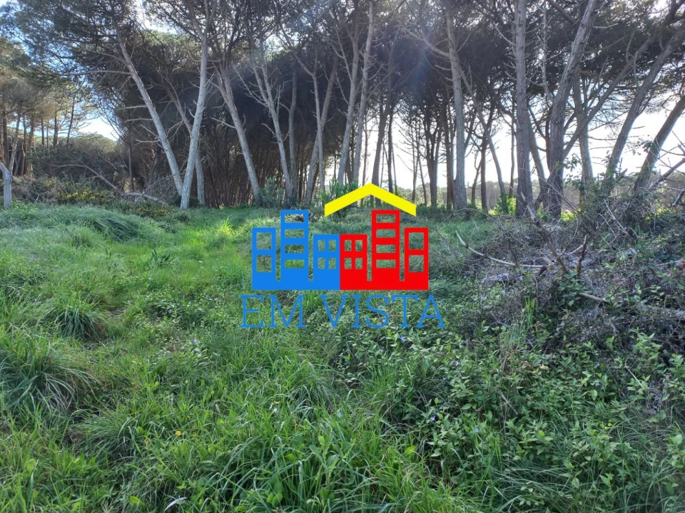 Terreno para Venda em Santa Maria e São Miguel, São Martinho, São Pedro Penaferrim Foto 10