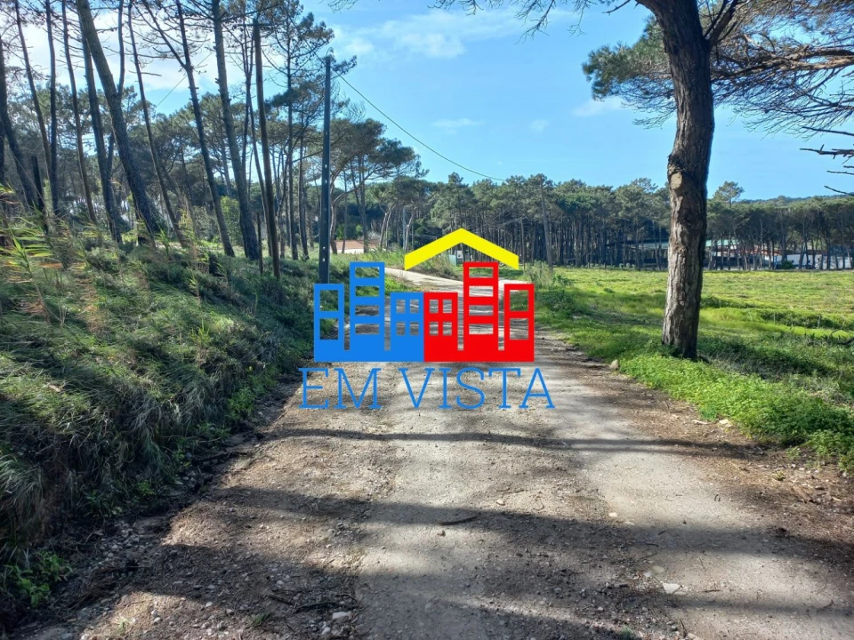 Terreno para Venda em Santa Maria e São Miguel, São Martinho, São Pedro Penaferrim Foto 2