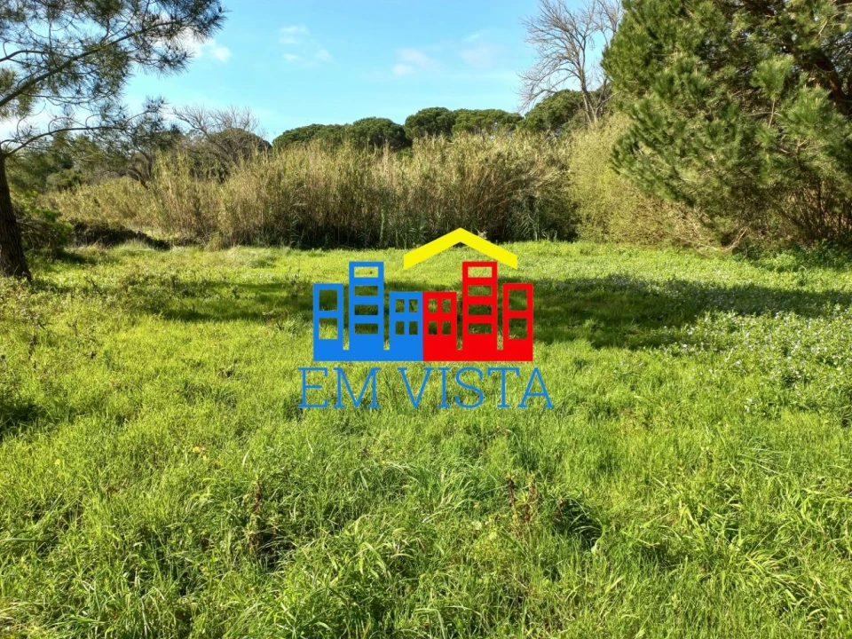 Terreno para Venda em Santa Maria e São Miguel, São Martinho, São Pedro Penaferrim Foto 14