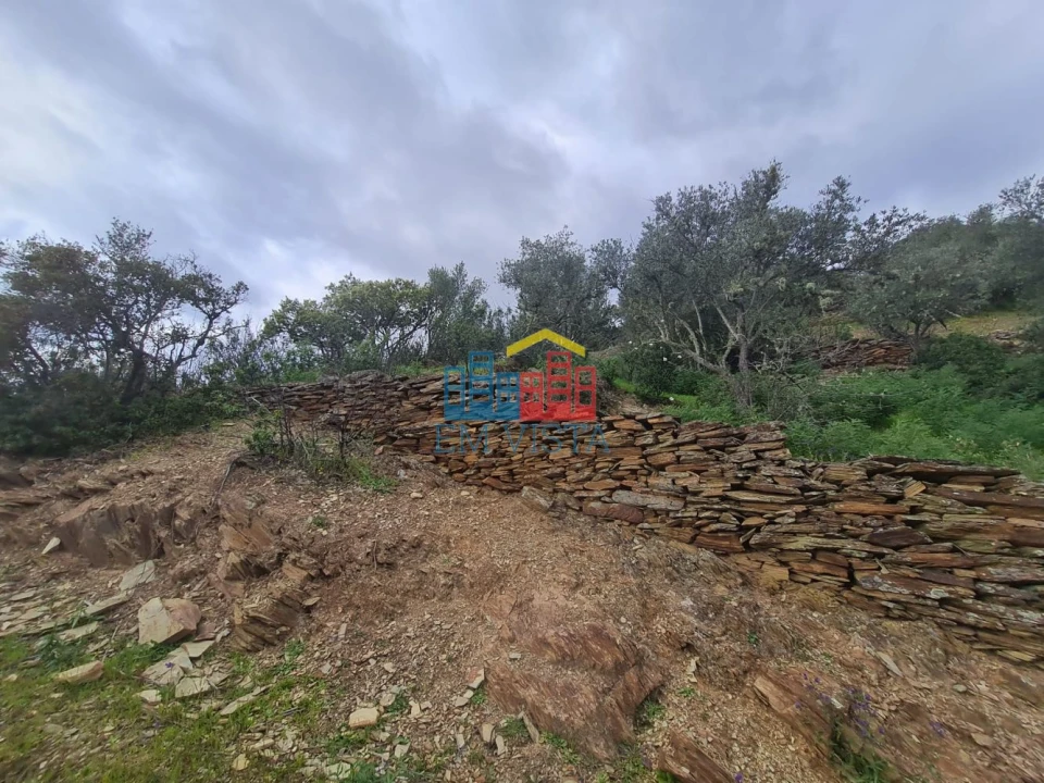 Terreno para Venda em Rosmaninhal Foto 3