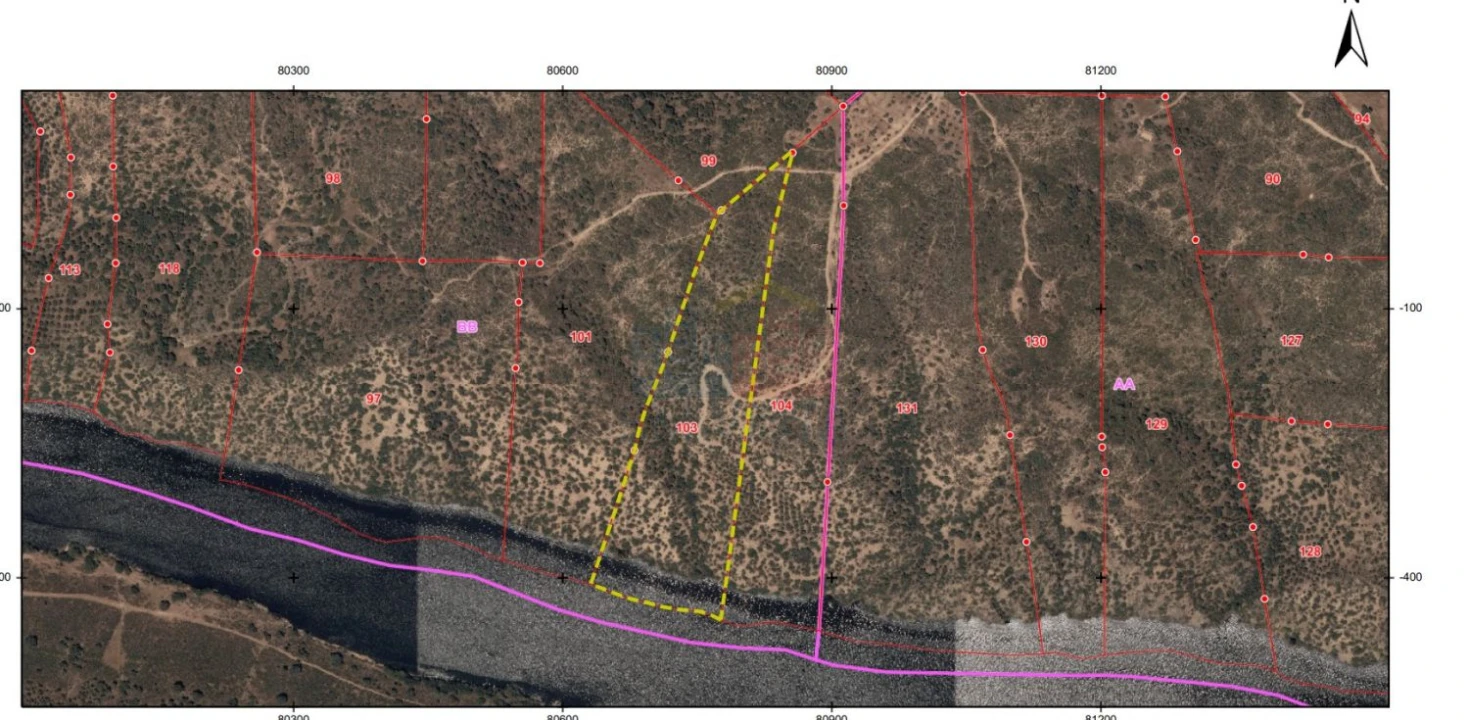 Terreno para Venda em Rosmaninhal Foto 6