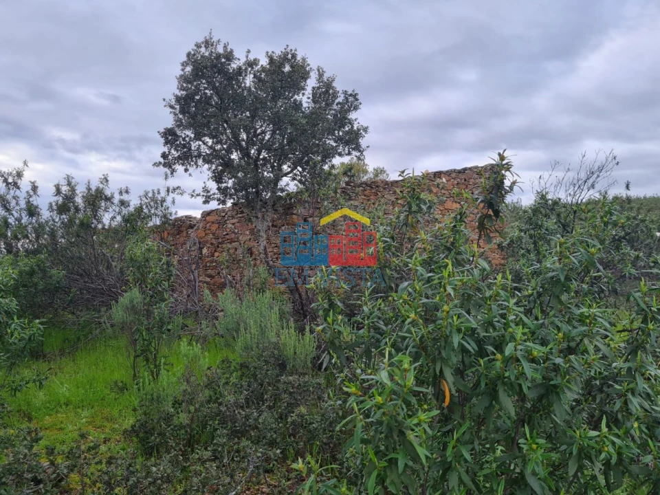 Terreno para Venda em Rosmaninhal Foto 2