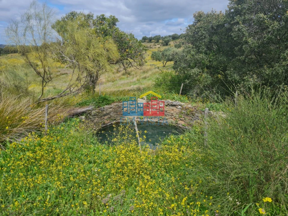 Terreno para Venda em Rosmaninhal Foto 1