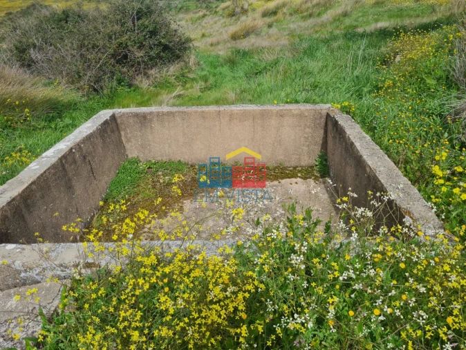 Terreno para Venda em Rosmaninhal Foto 5