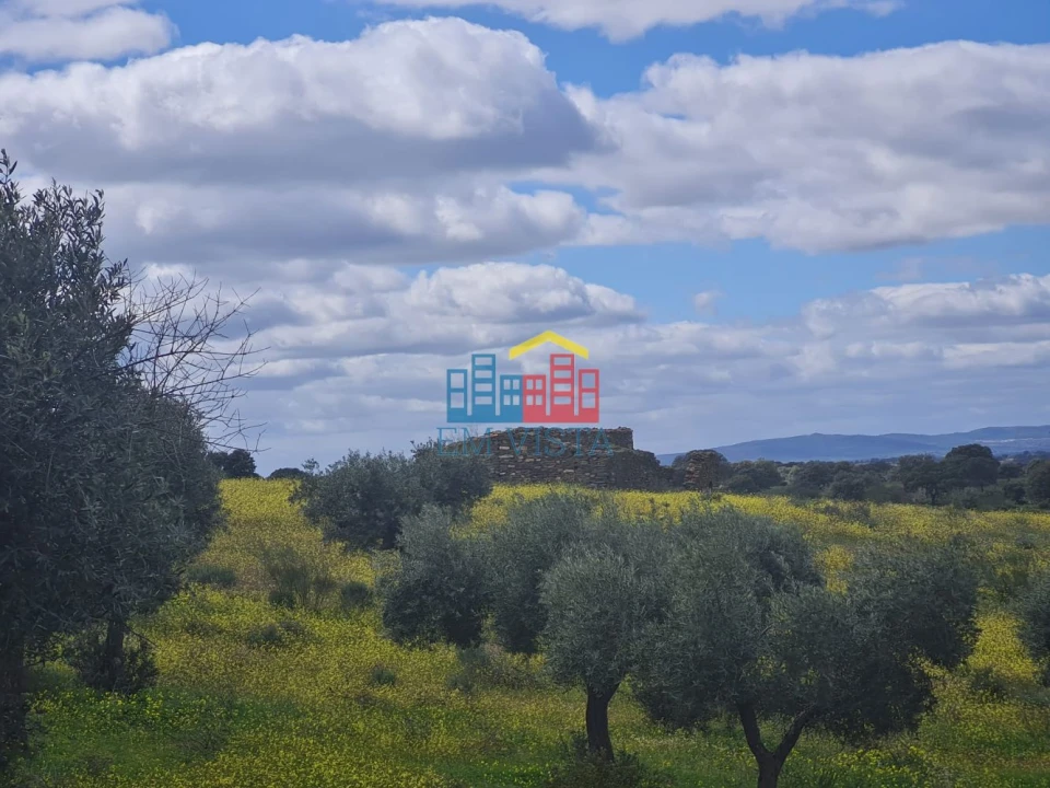 Terreno para Venda em Rosmaninhal Foto 2