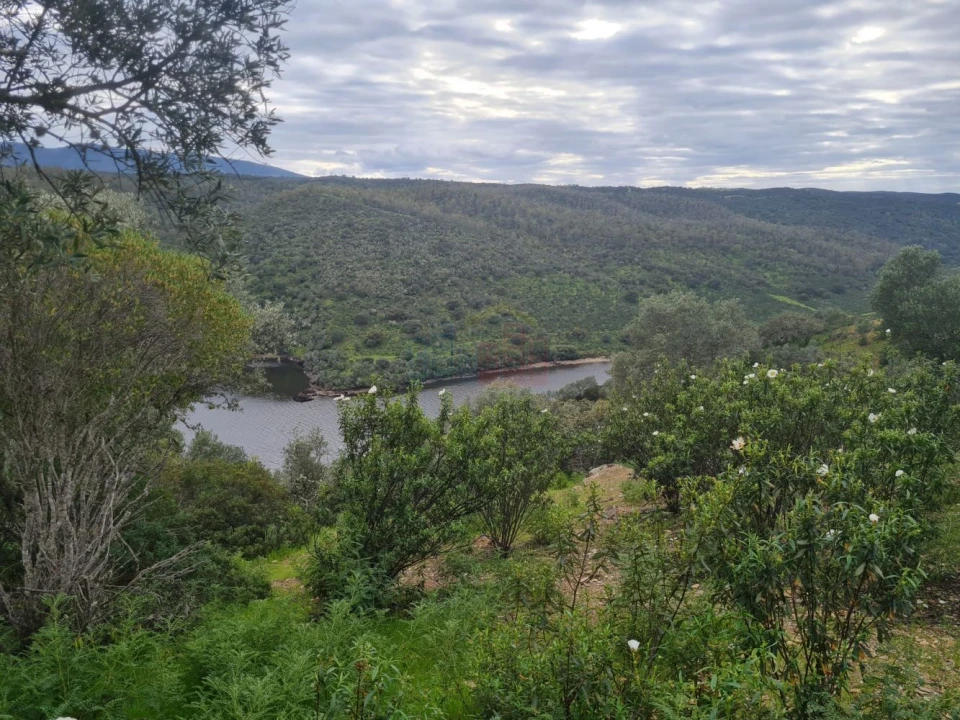 Terreno para Venda em Rosmaninhal Foto 12