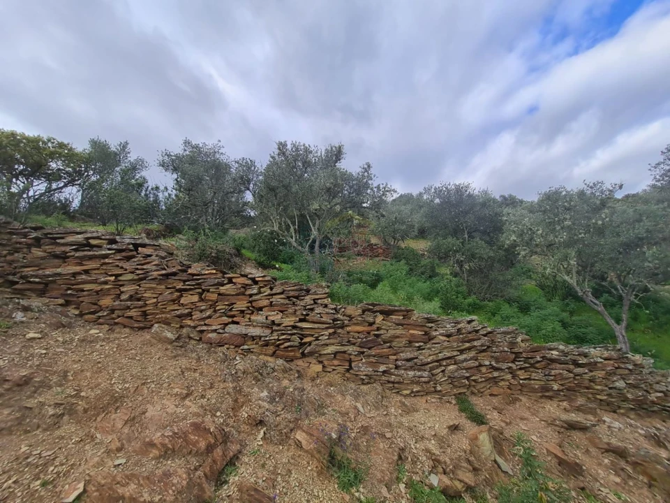 Terreno para Venda em Rosmaninhal Foto 4