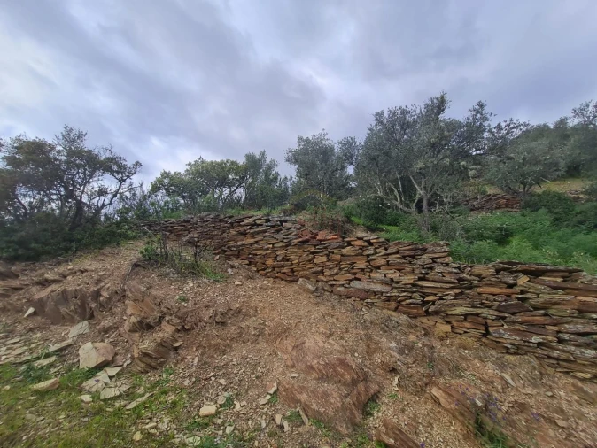 Terreno para Venda em Rosmaninhal Foto 2